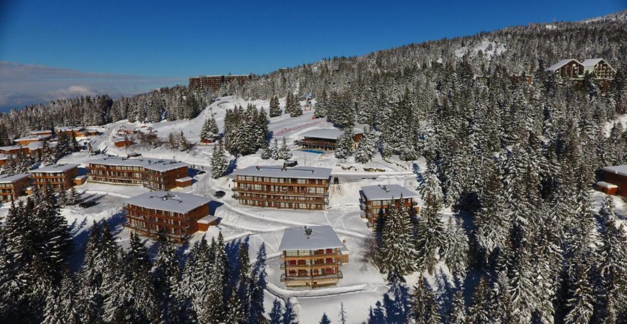 Charmant Appartement Confortable Pour 6 Personnes 40M2 Pied Pistes, Piscine, Wifi, Parking Chamrousse Ngoại thất bức ảnh